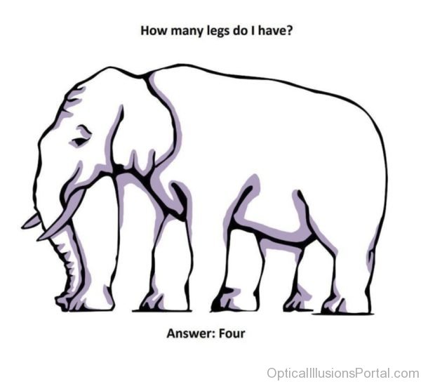 Elephant Legs Illusion 1