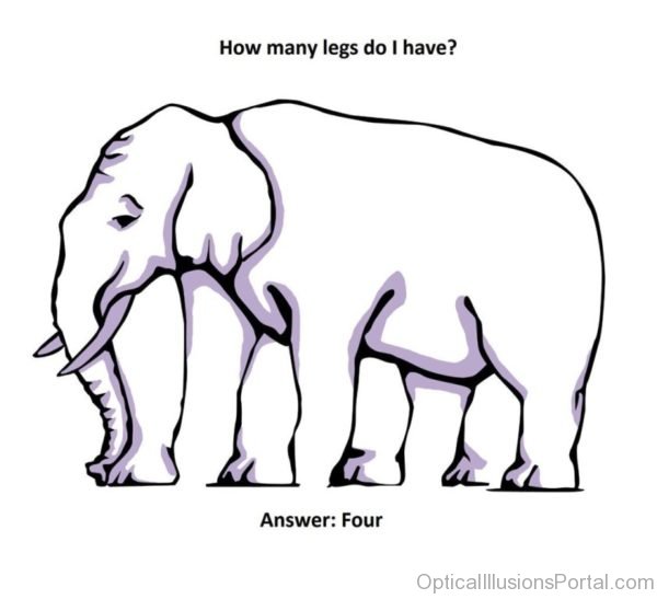 Elephant Legs Illusion