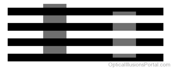 Geometric Optical Illusions3