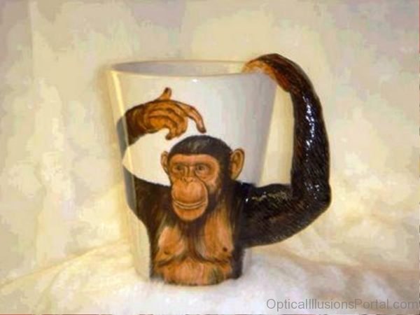 Monkey Illusion