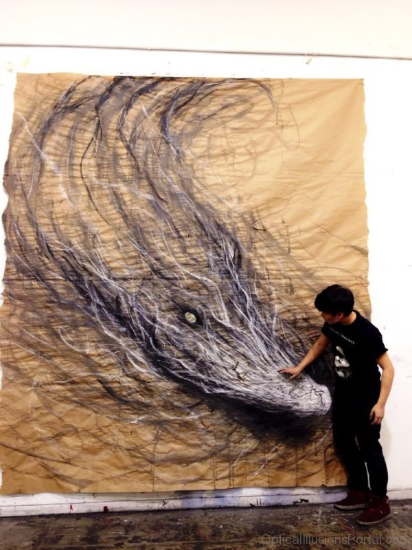 Optical Illusion Animal Drawings