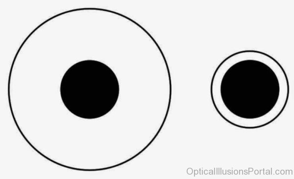 Optical Illusions For Kids