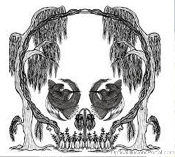 Optical Skull Illusion1
