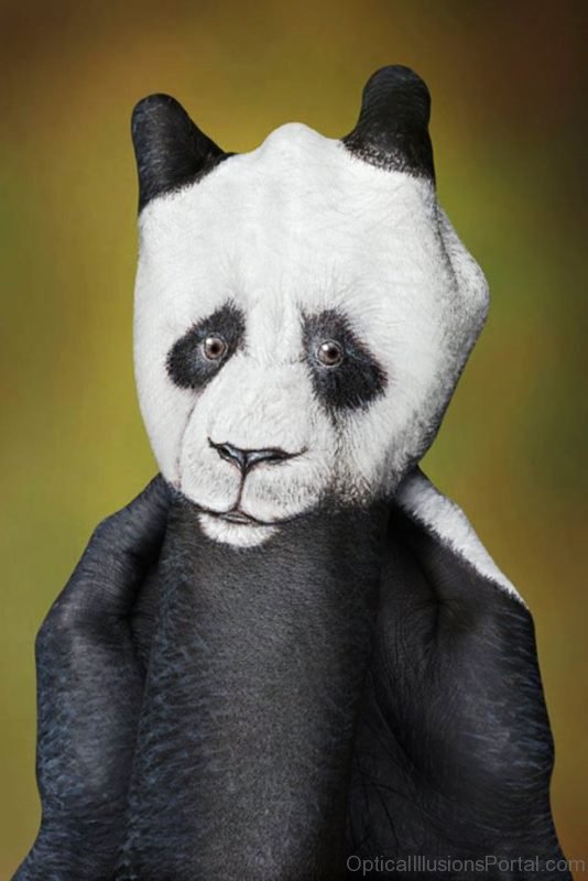 Panda Optical Illusion