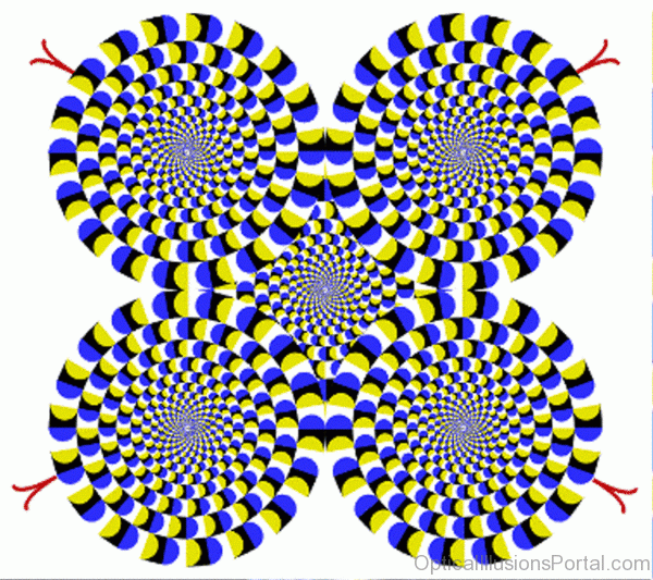 Rolling Optical Illusion