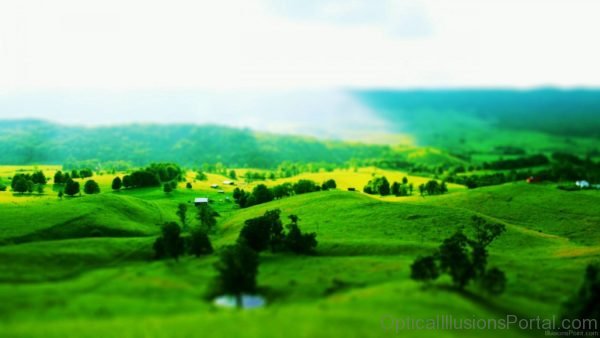 Slopes Trees Green Landscape