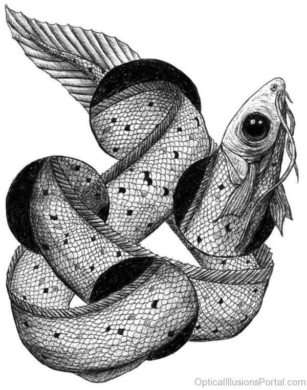 Snake Or Fish Illusion