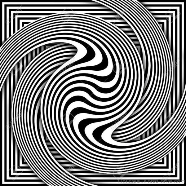 Spiral Optical Illusion Abstract Black and White Opt Art