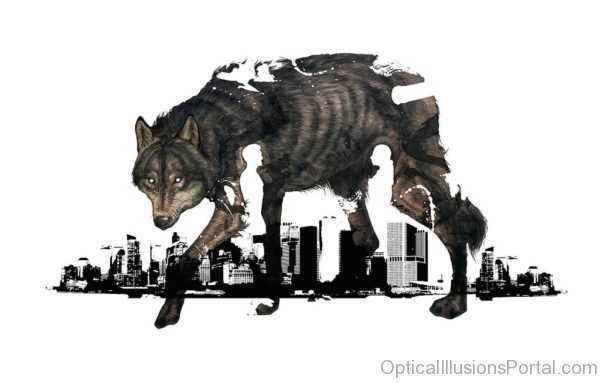 Wolf Illusion
