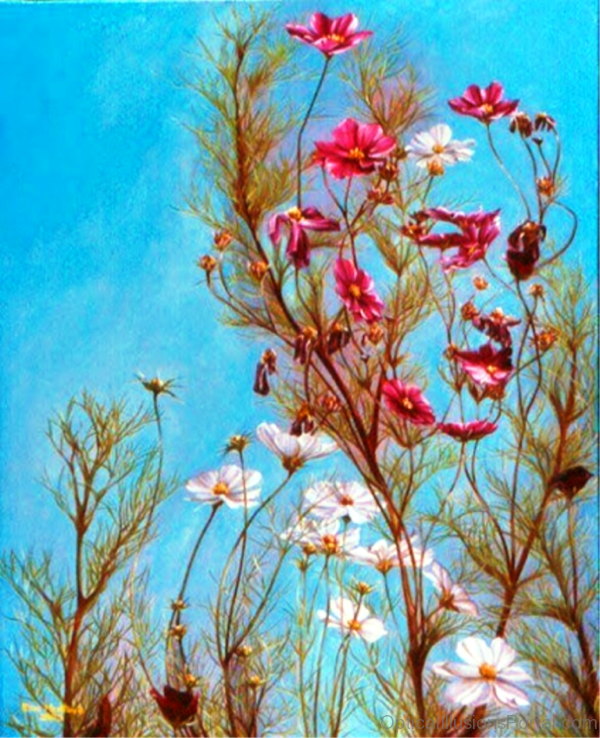 Woman in Flower Optical Illusion