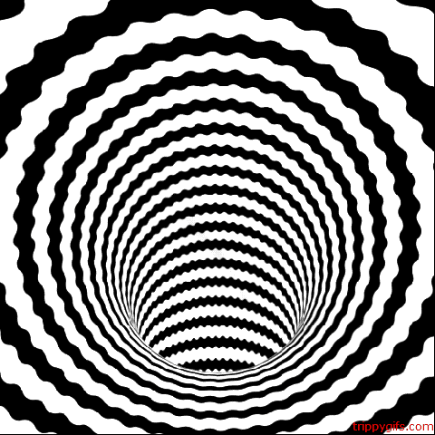 Best Cicular Illusion Image
