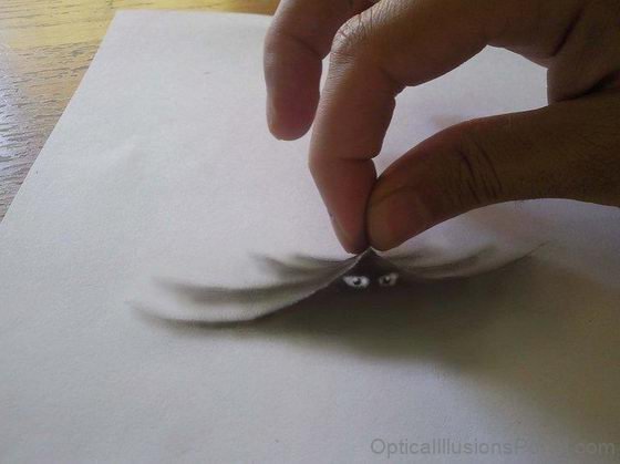 Illusion Drawing
