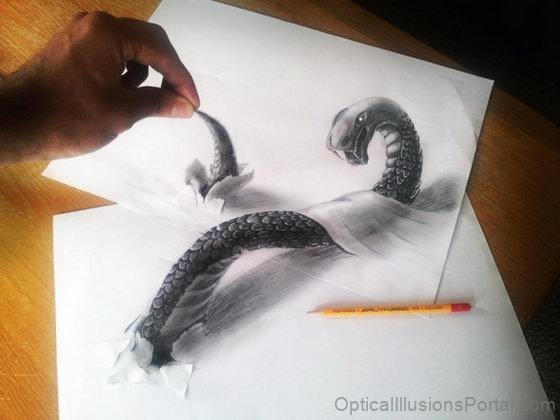 Snake Illusion