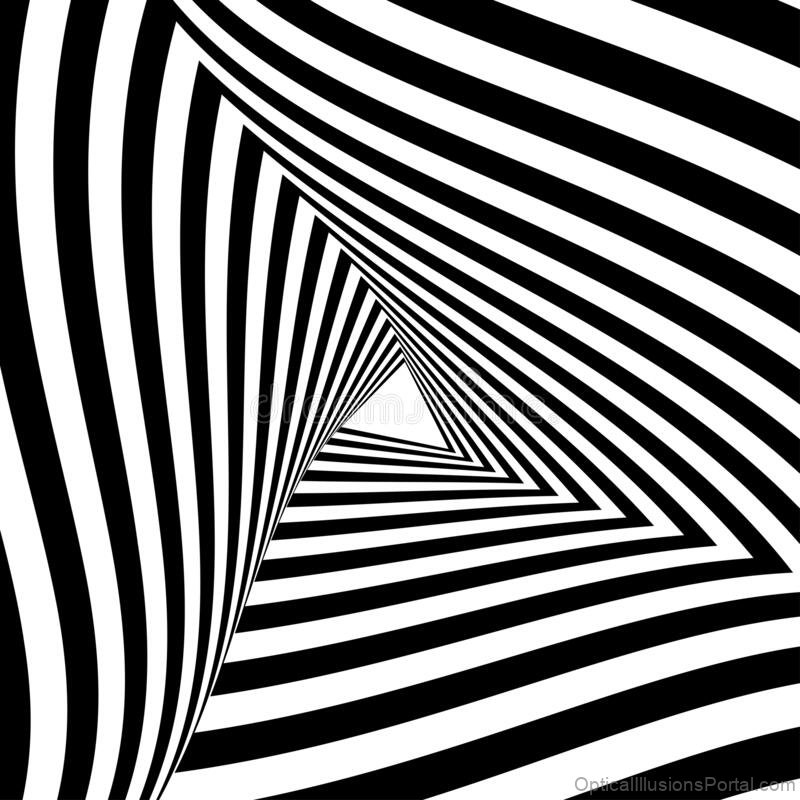 30+ Best Black And White Optical Illusions