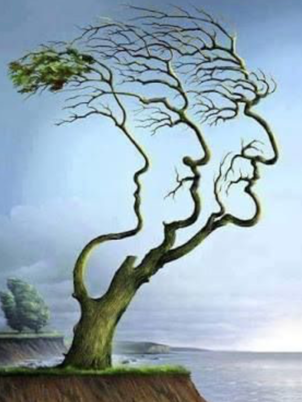 Optical Illusion Of Tree 16