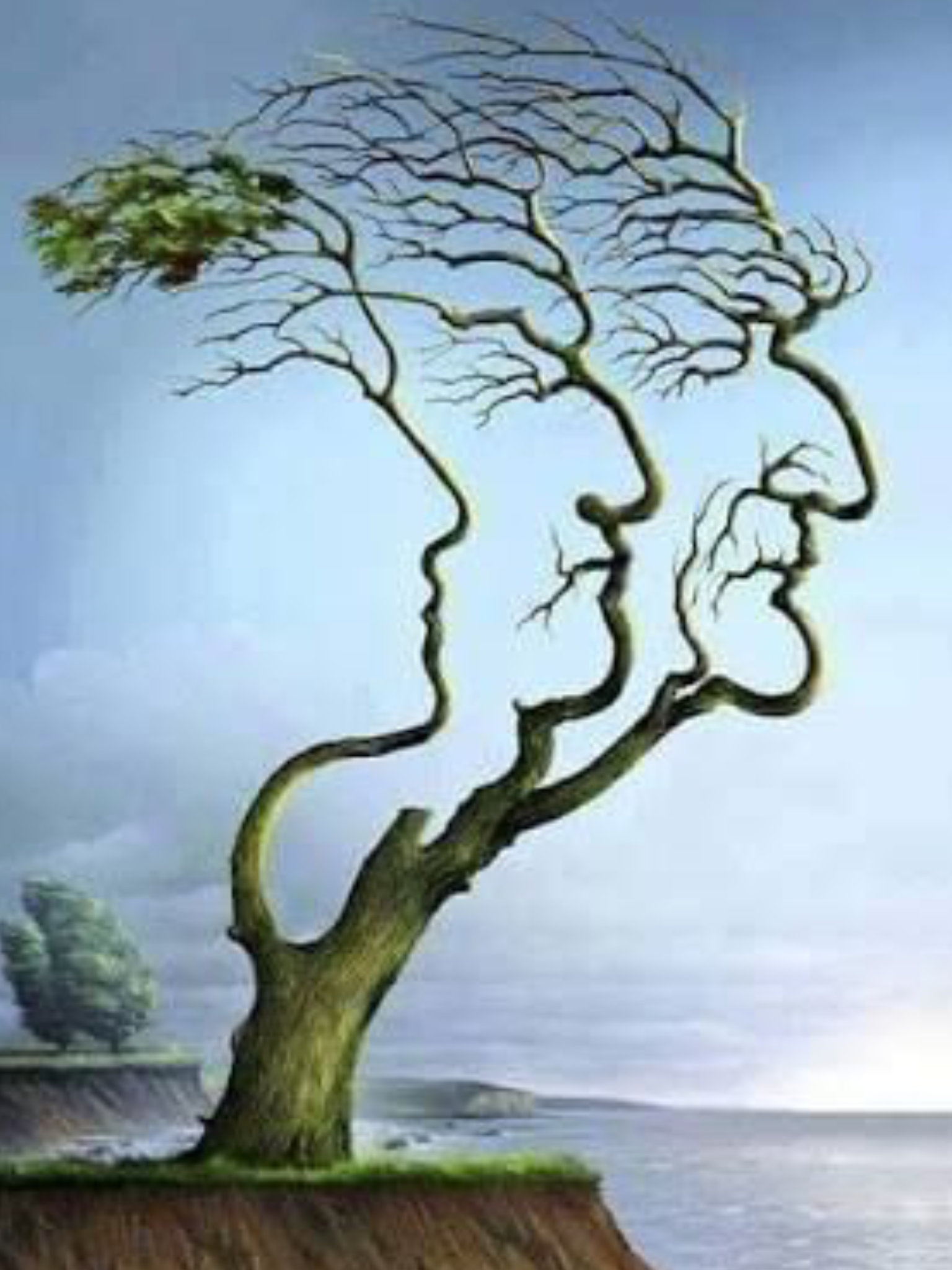 Optical Illusions Faces In Trees