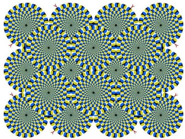 Patterned Optical Illusions Image