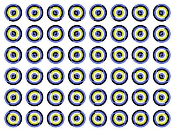 Optical Illusion Circles Photo