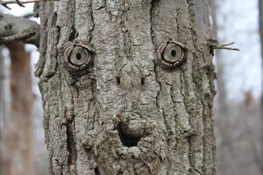 Face Pareidolia Neuroscinews Public 370x247