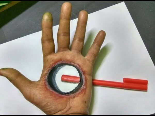 Hand Optical Illusions 1