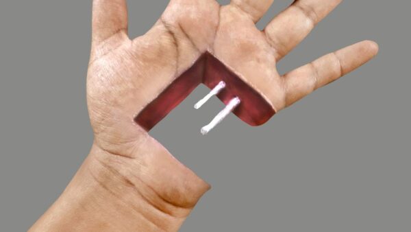 Hand Optical Illusions 6