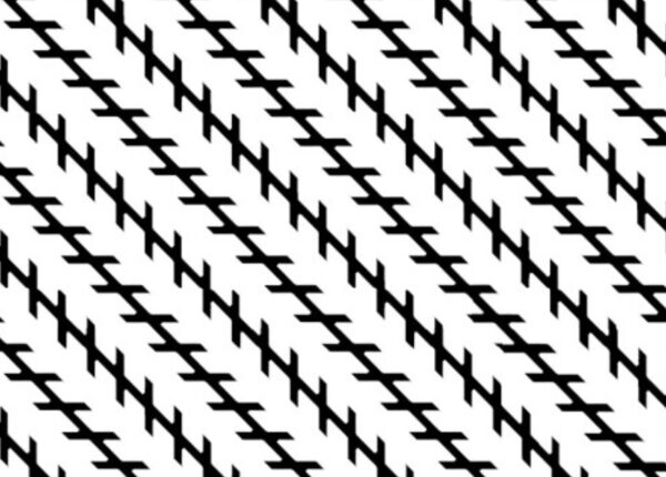 Lines Optical Illusions Images 1