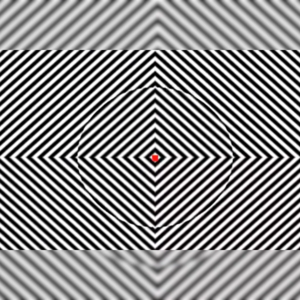 Optical Illusions Lines Images 9